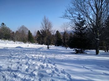Percorso Racchette da neve Sewen - Sortie raquettes Burnhaupt le Bas  - Photo