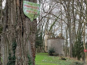 Randonnée Marche Chaumes-en-Brie - 2024 02 chaumes en Brie  - Photo