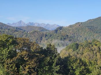 Tour Wandern Biert - Boucle de Ouert (n°14) - Photo