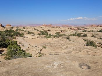 Tocht Stappen  - 2024 Canyonlands The Needles - Photo