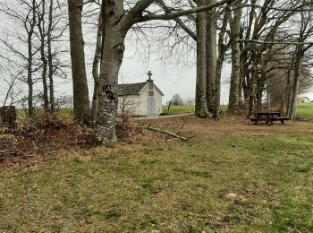 Tour Wandern Plombières-les-Bains - cimetière  plombieres-les-bains.fr- humont-pont jeanson - Photo