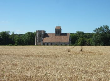 Tocht Te voet Magny-en-Vexin - L’église de Nucourt par le bois de l’Île - Photo