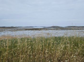 Excursión Senderismo Pleumeur-Bodou - 2024 RA J3 Bretagne costamoricaine  - Photo