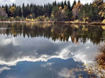 Randonnée Marche Saint-Étienne-de-Lugdarès - Luc - Bertail - L'Auradou  - Photo