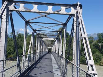 Tocht Mountainbike Port-Valais - st gingolf - Photo