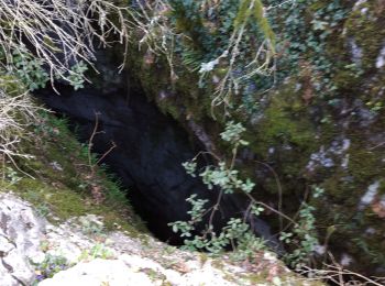 Randonnée Marche Vallon-Pont-d'Arc - 07 grotte derocs chauvet - Photo