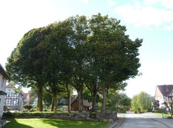 Tocht Te voet Bühren - Rundwanderweg Bühren 2 - Photo