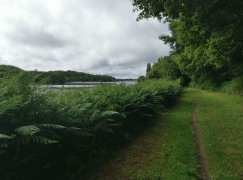 Trail Walking Plonéour-Lanvern - plan d eau tremeoc - Photo