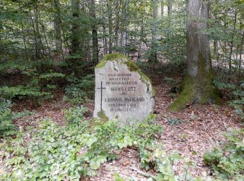 Tour Zu Fuß Bad Soden-Salmünster - Spessartspuren - Merneser Jossatal - Photo