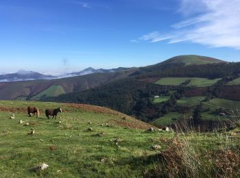 Randonnée Marche Urdazubi/Urdax - 1,1 Urdazubi,Puerto de Otsondo par Basandegi, Goizamendi et Orabidea - Photo