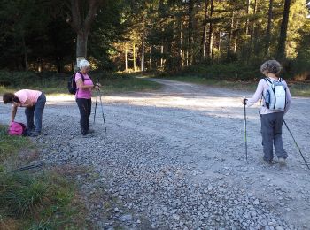 Trail Nordic walking Ger - MM2 camp deGer - Photo