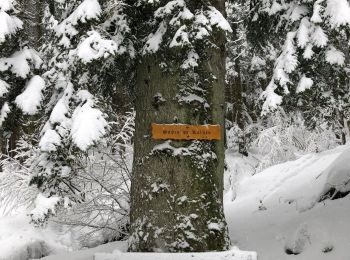 Trail Touring skiing Mittlach - Rando Mittlach - Photo