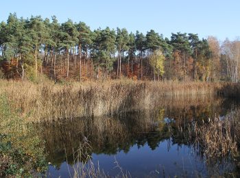 Tour Zu Fuß Karlstein am Main - Ortswanderweg Kahl 2 - Photo