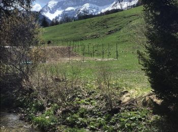 Percorso Mountainbike Monestier-de-Clermont - 2019 05 01 - Col de l'Arzelier - Photo