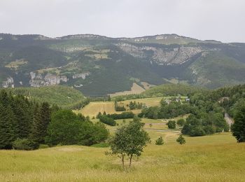 Randonnée Marche nordique Saint-Nizier-du-Moucherotte - St Nizier - Croix Lichou - Bois des Mures - Photo