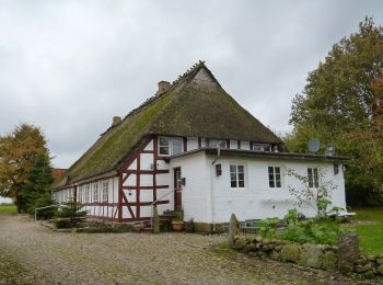 Trail On foot Boren - Ekenis-Kiesby-Boren - Photo