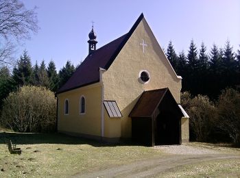 Excursión A pie Tirschenreuth - Tirschenreuth – Naturfreundehaus Wernersreuth – Nikolauskirche - Photo