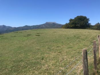 Excursión Bici de montaña Ascain - ASCAIN St Pee vtt - Photo