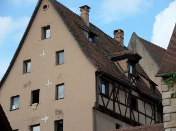 Tour Zu Fuß  - Naturerlebnispfad Pegnitztal-Ost - Photo