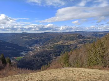 Trail Walking Septmoncel les Molunes - 24-02-24 :Septmoncel, Sentier des diots du Jura - Photo
