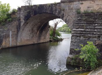 Percorso Marcia Pont-sur-Yonne - 210516 Pont sur Yonne - Photo
