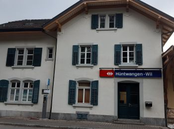 Randonnée A pied Hüntwangen - Hüntwangen-Wil - Lottstetten - Photo