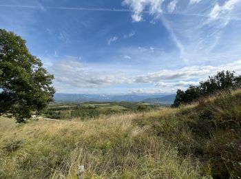 Trail sport Parnans - Balade par ans sur chemin des crêtes  - Photo