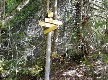 Trail Walking Apremont - col du Granier / pointe de la Gorgeat - Photo