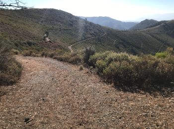 Trail Walking Villafranca del Bierzo - Villafranca Pereje - Photo