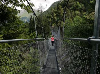 Randonnée Marche Savièse - bisse du Torrent-Neuf  - Photo