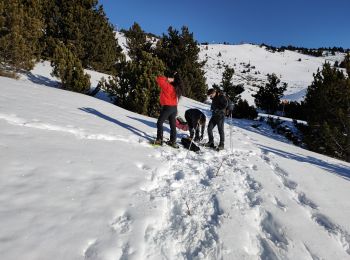 Randonnée Raquettes à neige Font-Romeu-Odeillo-Via - Autour du refuge de La Calme  - Photo