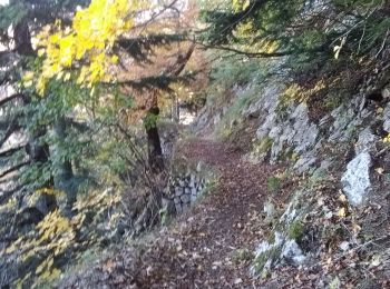 Tour Wandern Romeyer - La rive du rocher des heures - Photo