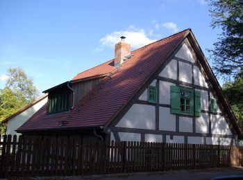 Percorso A piedi Bestensee - Rundweg Tongruben Pätz/Gräbendorf - Photo