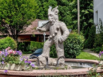 Percorso A piedi Schuttertal - Aussichtsweg - Große Runde - Photo