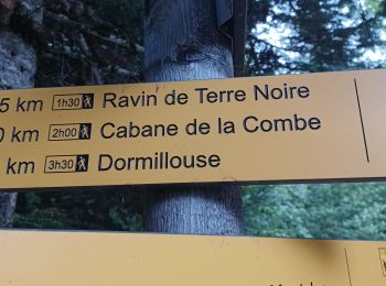 Trail Walking Montclar - SAINT JEAN MONTCLAR , forêt de Galisson , cabane de la Combe , o l m s  - Photo