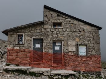 Randonnée A pied Arquata del Tronto - Forca di Presta/Monte Vettore - Photo