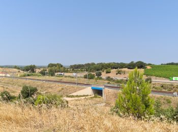 Tocht Stappen Lunel - Verargues - Photo