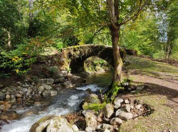 Tour Wandern Bédeilhac-et-Aynat - au pied du Calames - Photo