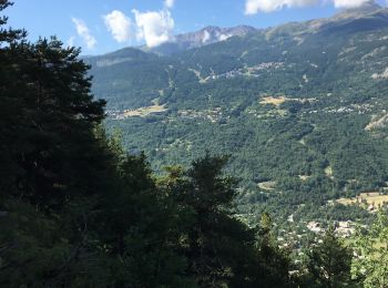 Randonnée Marche Vallouise-Pelvoux - Le Pointu - Photo