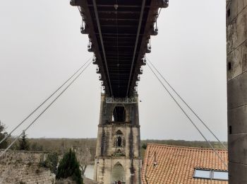 Tocht Stappen Saint-Hippolyte - pont suspendu  - Photo