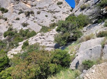 Randonnée Marche Lafare - PF-Lafare - Les Dentelles de Montmirail - CJ - Photo