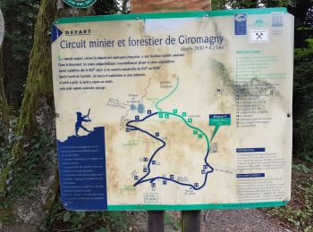 Tocht Stappen Lepuix - Giromagny - sentier des mines  - Photo