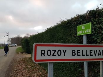 Tour Wandern Rozoy-Bellevalle - Rozoy-Bellevalle du 8-12-2020 - Photo