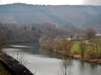 Percorso A piedi Schönbrunn - Rundwanderweg Neckaralm 2: Moosbrunn-Weg - Photo