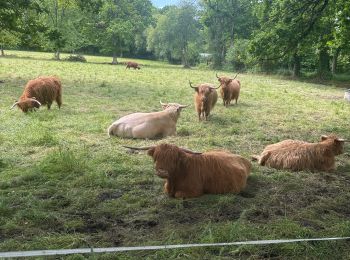 Tocht sport Carolles - Tour de carolles - Photo