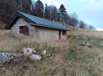 Tocht Stappen La Chapelle-en-Vercors - Serre Plumé  - Photo