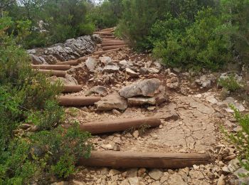 Tocht Stappen Montmeyan - Quinson, Gorges basses du Verdon/chapelle Ste Maxime - Photo