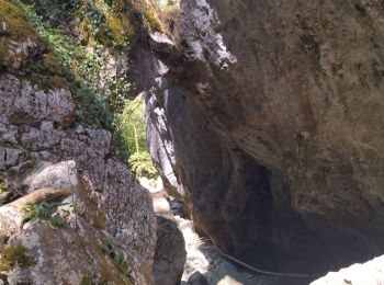 Trail Walking Bouvante - 26 gorges lyonne 23.08.23 - Photo