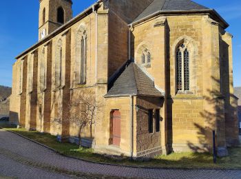 Tour Zu Fuß Unterwellenborn - Wutschentalweg - Photo