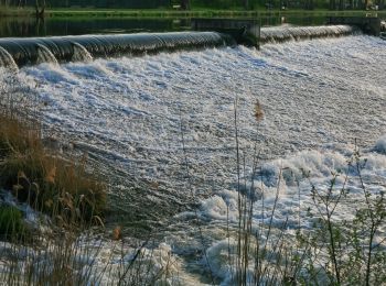 Randonnée A pied Eschwege - Rundweg Werratalsee - Photo